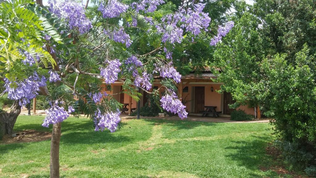 Kibbutz Moran Digital Nomads Village-Adults Only Buitenkant foto