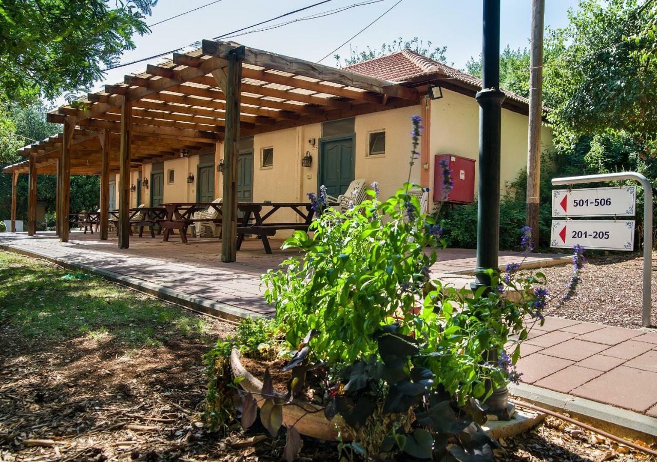 Kibbutz Moran Digital Nomads Village-Adults Only Kamer foto